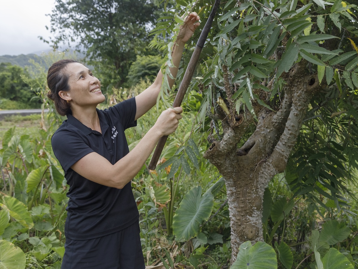Slow Food Farms Hong Kong – Slow Food Hong Kong