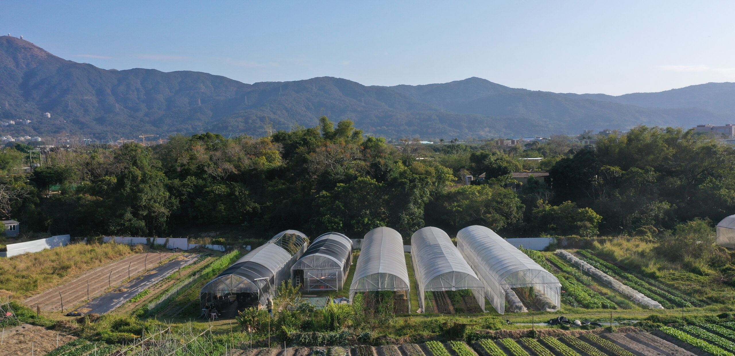 R-farm in Kam Tin, Hong Kong, part of the Slow Food Farms programme